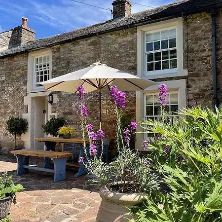 The Cosy Nook Company - Cosy