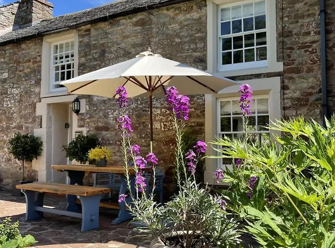 The Cosy Nook Company - Cosy