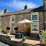 The Cosy Nook Company - Cosy * Warcop